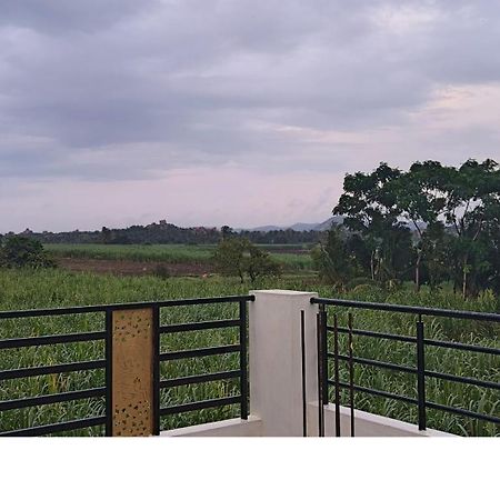 Coconut Homestay Хампи Екстериор снимка