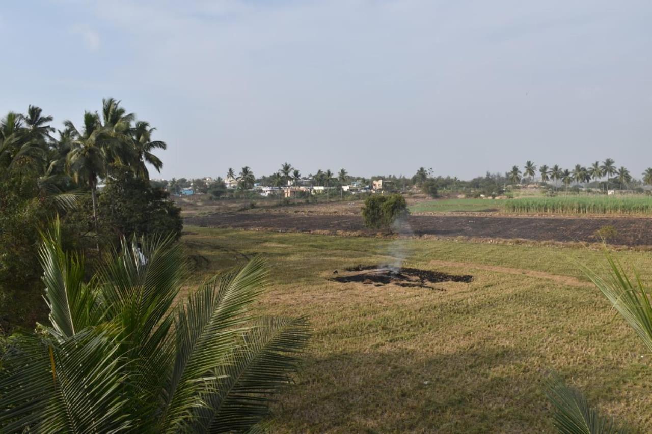 Coconut Homestay Хампи Екстериор снимка