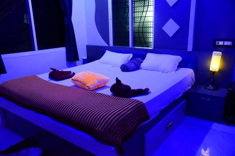 Coconut Homestay Хампи Екстериор снимка